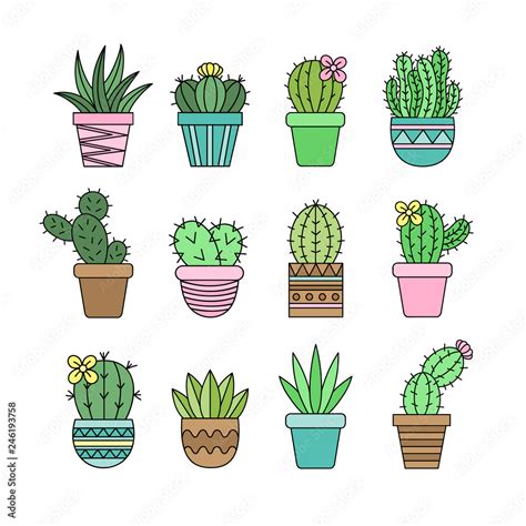 Cute cactus set, different types of cacti in patterned plant pots, vector illustrations ...