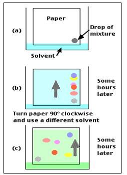 Two Dimensional Techniques in Paper Chromatography | Science of ...