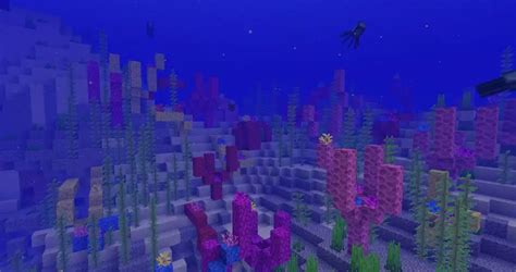 Warm Ocean (1.13 Snapshot) - Minecraft Seeds