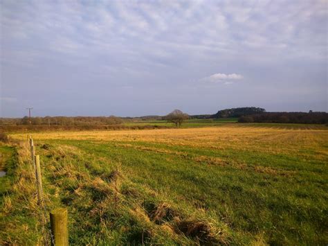 Wilder Dorset | Dorset Wildlife Trust