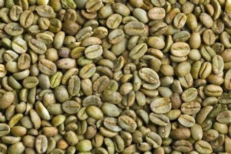 Green Coffee Beans Arabica AAA at Rs 220/1 kg | Green Coffee Beans in Kochi | ID: 17919817848