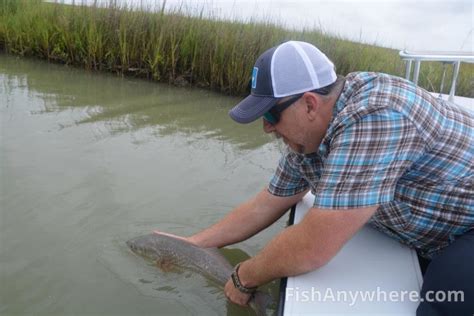 Corpus Christi, TX Fishing | FishAnywhere