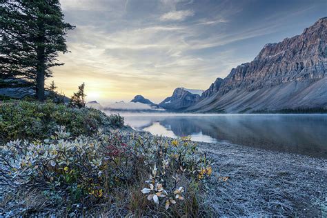 Sunrise over Bow Lake Photograph by Kathleen Codinha - Fine Art America