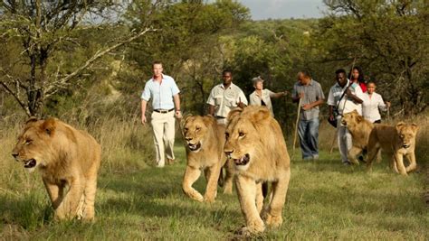 Walk the Line Tour in Akagera National Park Rwanda | Rwanda Safaris