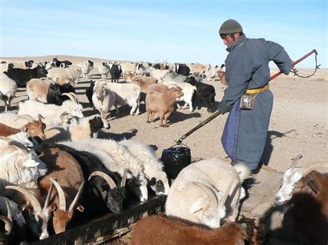 Mongolia travel blog — Explore the life of Mongolian nomads in the heart of Gobi desert - Living ...