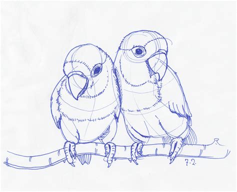 Bird Drawing Simple at GetDrawings | Free download