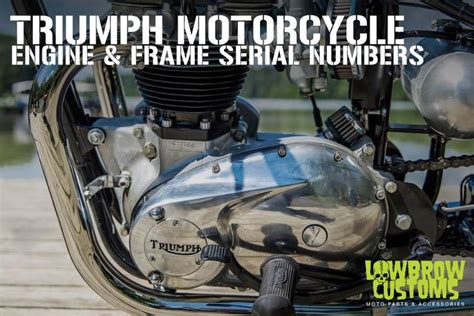 Triumph Motorcycle Engine & Frame Serial / VIN Numbers | Triumph ...