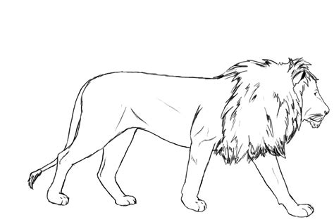 Lion Drawing Image at GetDrawings | Free download