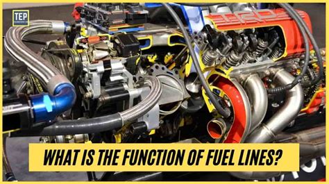 Fuel Line: Diagram, Types, Function, Material, Fitting & Cleaner