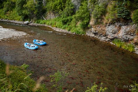 Looking for the Perfect Alaska Trip? - Alaska Fly Fishing Goods