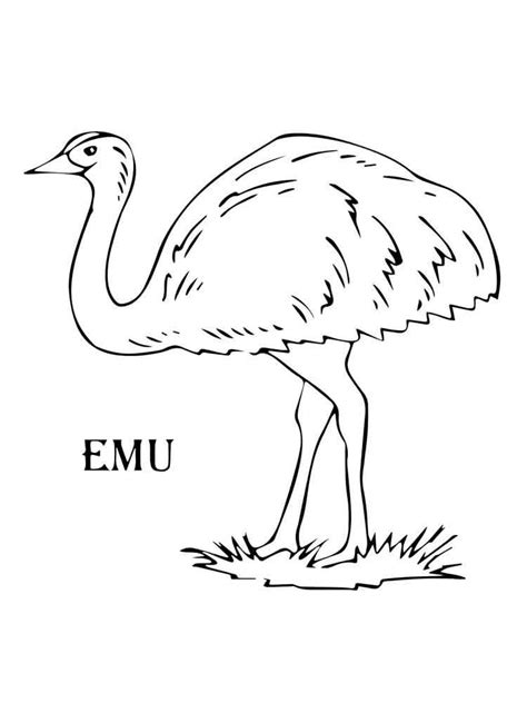 Free printable Emu coloring pages for kids. 1000+ best coloring page in ...