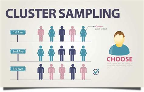 Pin on WGU STATISTICS