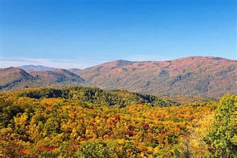 Where to View the Fall Colors in Pigeon Forge | Tennessee Smokies ...