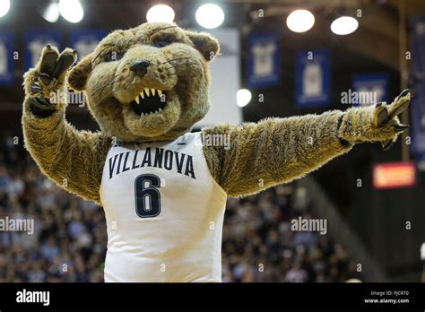 Villanova, Pennsylvania, USA. 1st Mar, 2016. Villanova Wildcats mascot ...