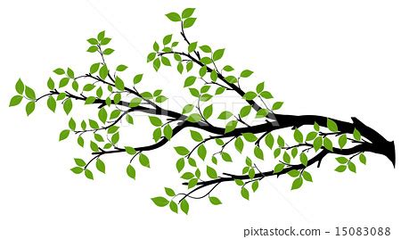 Tree Branch Silhouette, Vector Graphics - Stock Illustration [15083088] - PIXTA