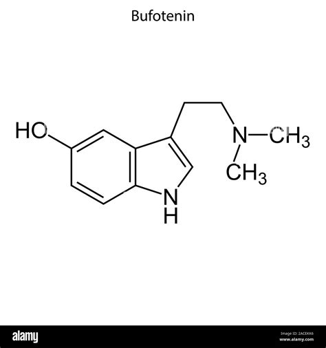 Skeletal formula of Bufotenin. Chemical molecule Stock Vector Image & Art - Alamy