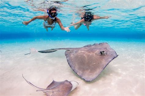 Beautiful Day and Great Excursion - Review of Stingray City Cayman ...