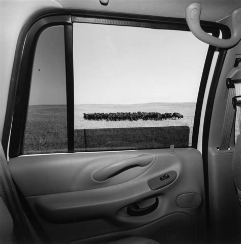 Lee Friedlander: America by Car | MONOVISIONS - Black & White Photography Magazine