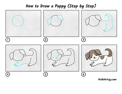 How to Draw a Puppy (Step by Step) - HelloArtsy