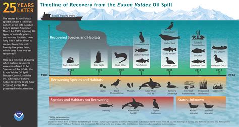 25 Years Later: Timeline of Recovery from Exxon Valdez Oil Spill ...