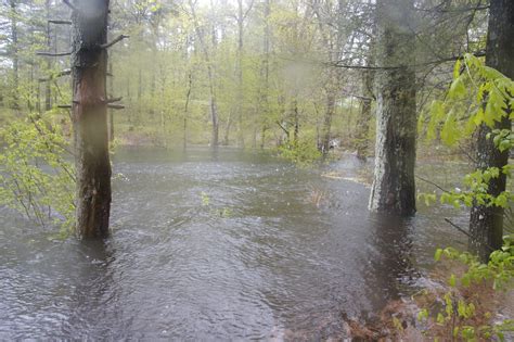 Flooding - Hudson, NH | Tracy Lee Carroll | Flickr