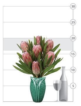 Pink Protea Bouquet - Calyx Flowers, Inc