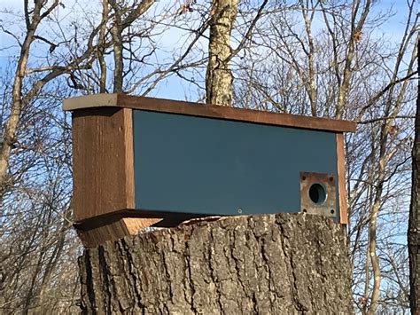 How to Build a Winter Roosting Box: DIY Barn Wood Project for the Birds - FeltMagnet