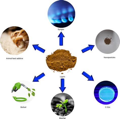 Utilization of lignin extracted from pulp and paper mill waste into ...