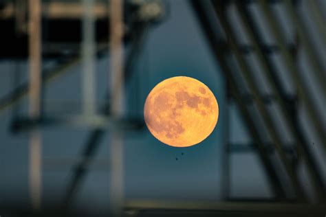 Brilliant Harvest Moon, the last supermoon of 2023, wows stargazers ...