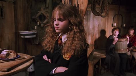 Harry Potter Chamber Of Secrets Hermione