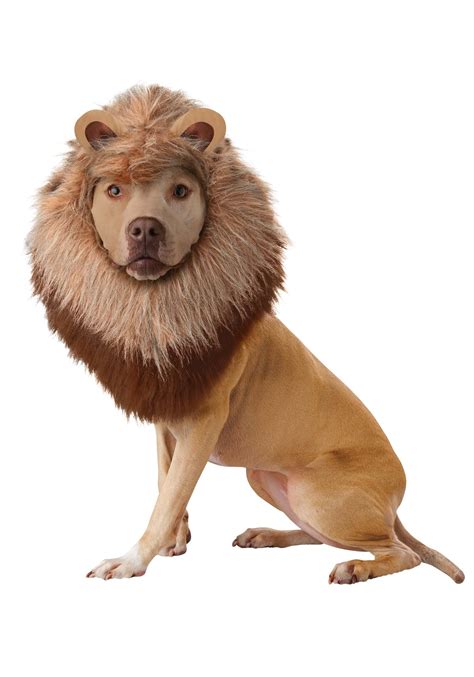 Lion's Mane Pet Costume