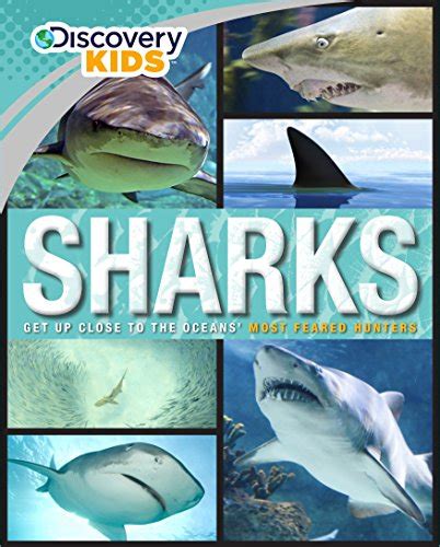 The Best Shark Books for Kids ⋆ Parenting Chaos