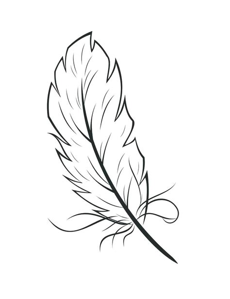 Eagle Feathers Drawing at GetDrawings | Free download