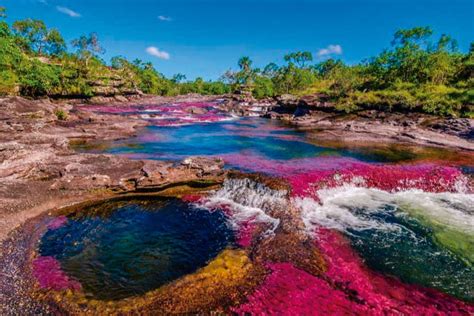 Caño Cristales | Rainbow river | Kuoda Travel