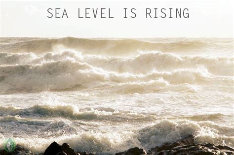 Sea Level Rise: Causes, Effects & Predictions | Earth Reminder