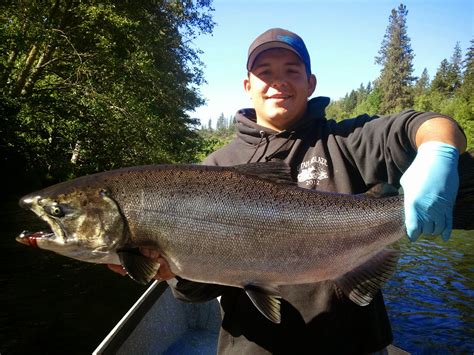 Guided Fishing on the Rogue and Umpqua Rivers' for Salmon and Steelhead in Southwest Oregon: The ...