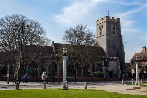 Visit the Natural History Museum | Colchester Museums