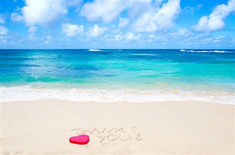 Royalty Free Thank You Beach Pictures, Images and Stock Photos - iStock