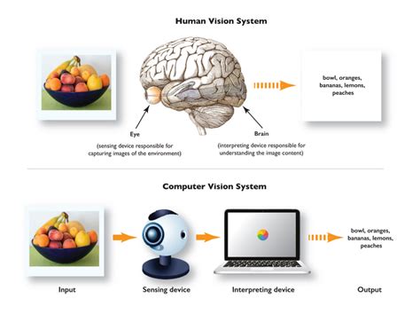 What is a Computer Vision?. A brief introduction to computer vision ...