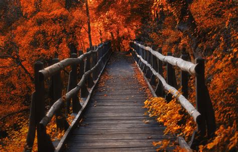 1400x900 Resolution A Bridge in Autumn Season 1400x900 Resolution ...