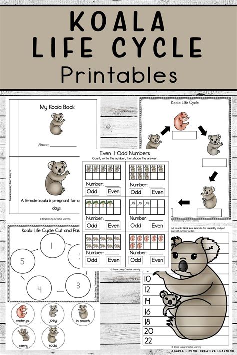 Graphing Activities, Letter Activities, Color Activities, Counting Puzzles, Dot Letters ...