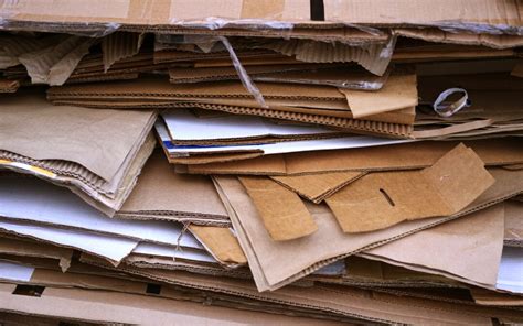 Everything to Know About Recycling Cardboard | Western Elite