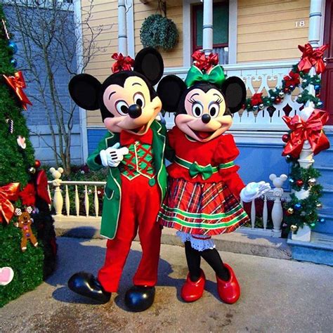 Disneyland Mickey Minnie - find out