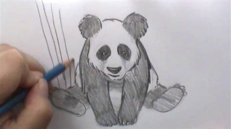 How To Draw A Panda Step By Step Easy : Here are the steps for drawing ...