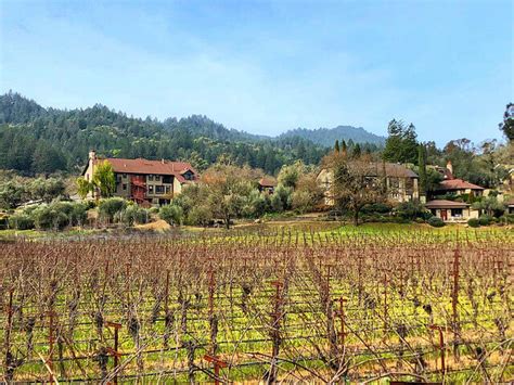 Pet-friendly Wine Country Inn in Napa Valley, California