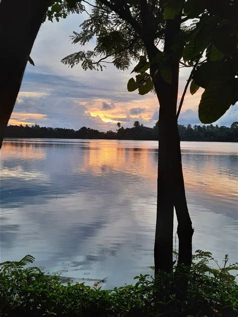 The Manipal Lake - A Serene Destination in Karnataka, India