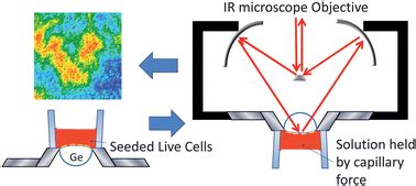 ATR-FTIR spectroscopic imaging: recent advances and applications to ...