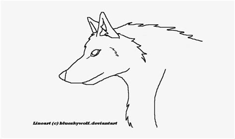 How To Draw A Wolf Head Side View - Drawing - 600x450 PNG Download - PNGkit