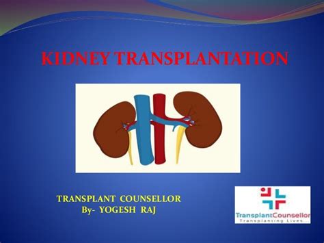 Success Rate of Kidney Transplant in India- Transplant Counsellor