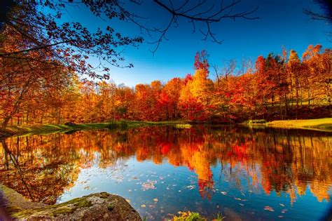 Follow These Simple Tips for Beautiful Fall Photography